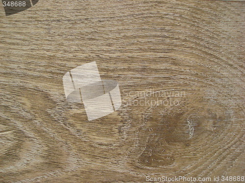 Image of Tangential oak pattern