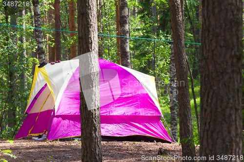 Image of camping outdoor with  tent in woods in summer 