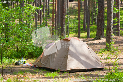 Image of camping outdoor with  tent in woods in summer 