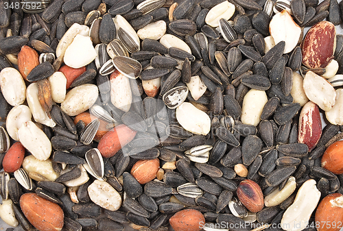Image of Bird seed 
