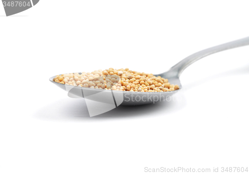 Image of Mustard seeds on spoon