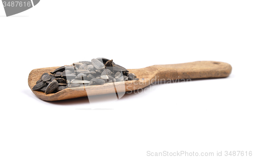 Image of Bird seed on shovel