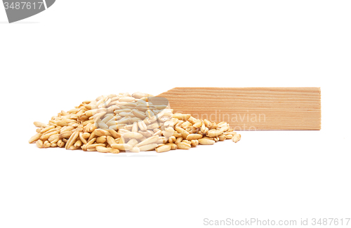 Image of Oat at plate