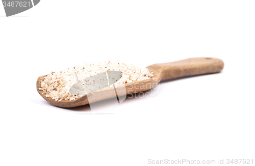 Image of Hazelnuts powdered on shovel