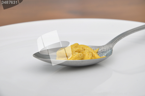 Image of Spoon with mustard