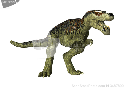 Image of Tyrannosaurus Rex