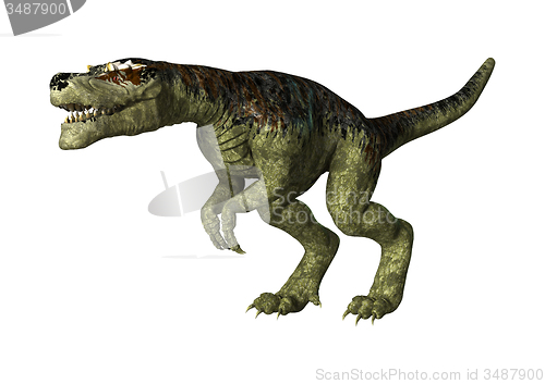 Image of Tyrannosaurus Rex