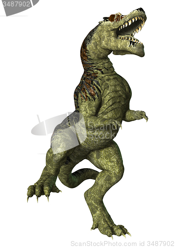 Image of Tyrannosaurus Rex