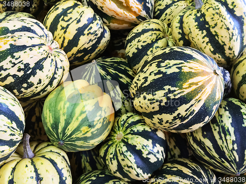 Image of Colorful Carnival squashes