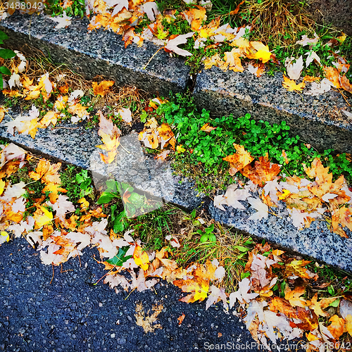 Image of Colorful autumn leaves on stone steps