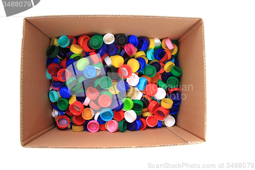 Image of pet caps in the paper box 