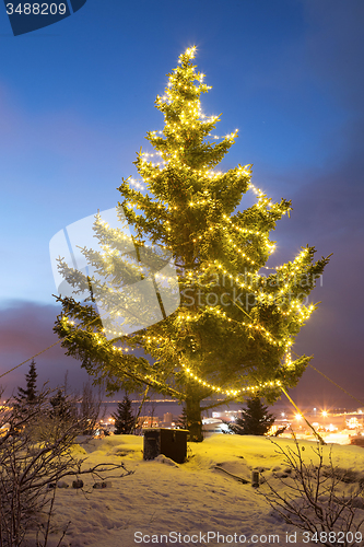 Image of Decorated tree