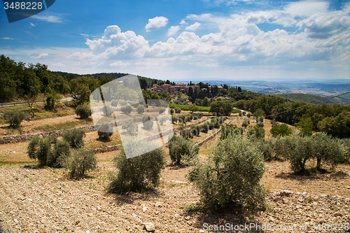 Image of Castellina in chianty 