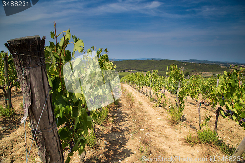 Image of Hills of Tuscany