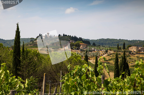 Image of Tuscan farms