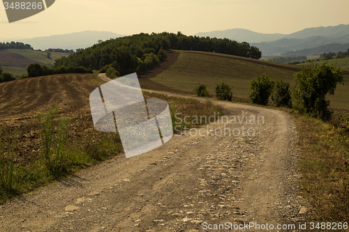 Image of Tuscan Hills