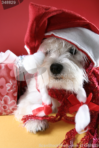 Image of Santa claus