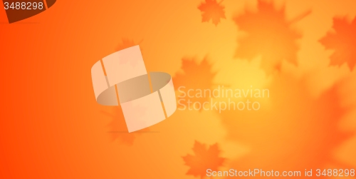 Image of Autumn vector banner with blurred maple leaves