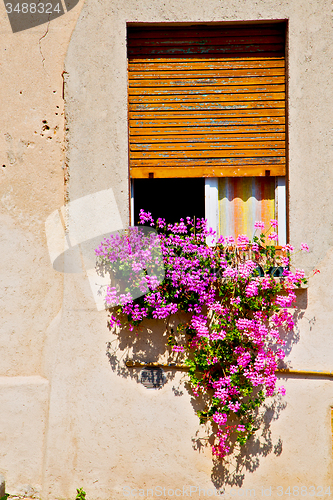 Image of in europe italy milan old architecture  flowers