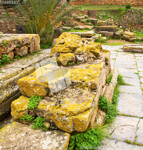 Image of chellah  in morocco africa the old roman deteriorated monument a