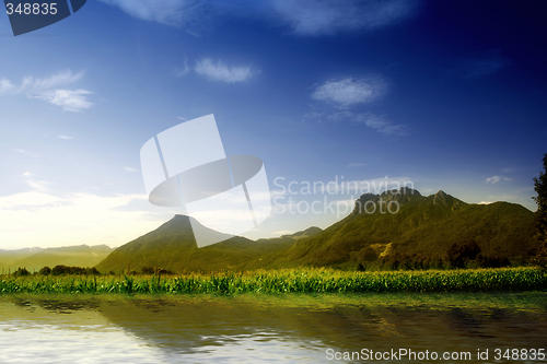Image of Green hill with blue sky. Summer landscape