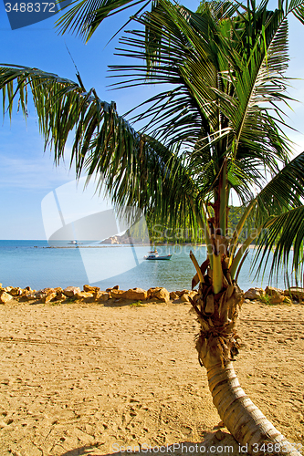 Image of   asia     bay the  koh phangan  isle white   