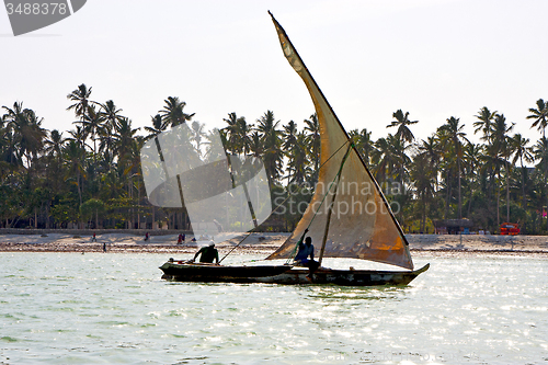 Image of beach   in zanzibar  indian  sailing