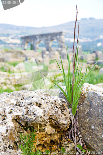 Image of volubilis in morocco africa   deteriorated monument   site