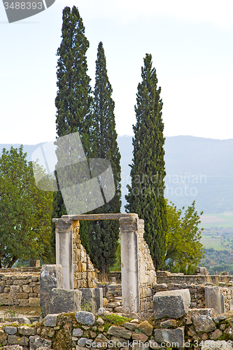 Image of volubilis in morocco africa  cypress and site