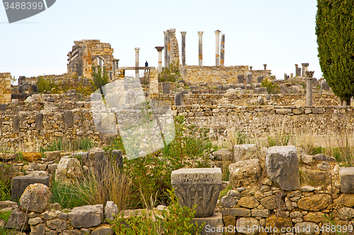 Image of volubilis in morocco africa the  