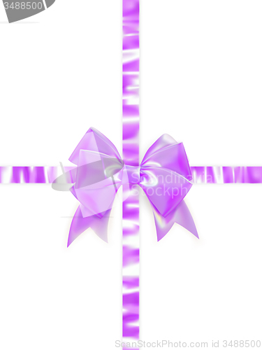 Image of Beautiful bow on white background. EPS 10