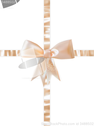 Image of Beautiful bow on white background. EPS 10