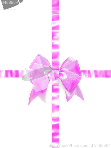 Image of Beautiful bow on white background. EPS 10
