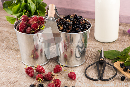 Image of Metal buckets with fresh berries