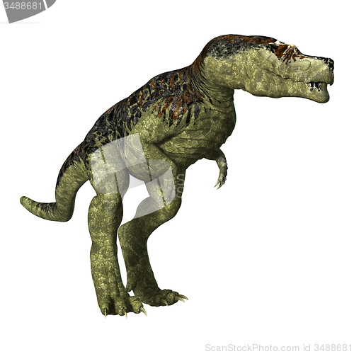 Image of Tyrannosaurus Rex