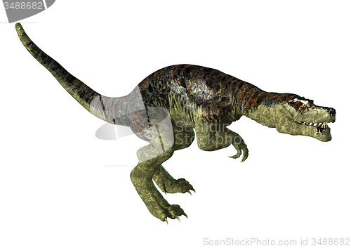 Image of Tyrannosaurus Rex