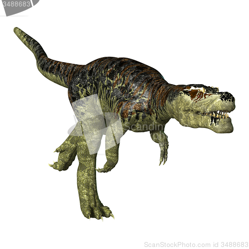 Image of Tyrannosaurus Rex