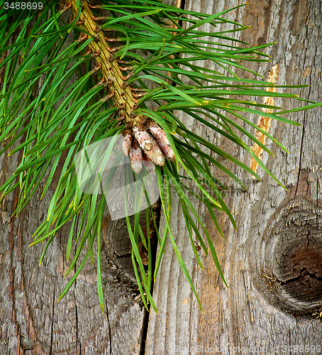 Image of Christmas Decoration