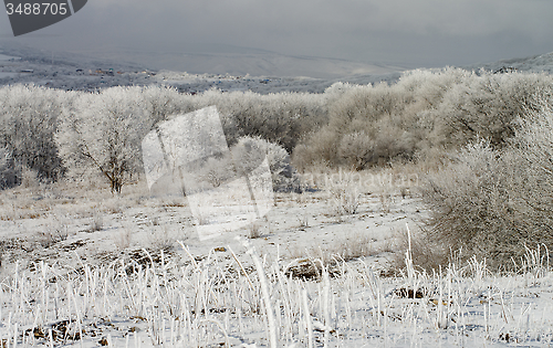 Image of Winter Landscape