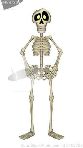 Image of Skeleton