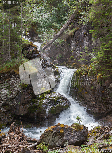 Image of Waterfall in the forest