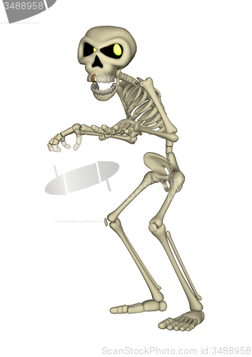 Image of Skeleton