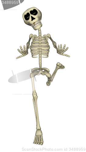 Image of Skeleton