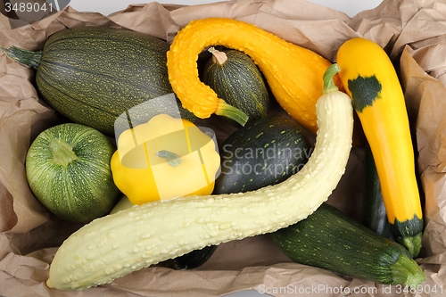 Image of Squashes  and zucchini