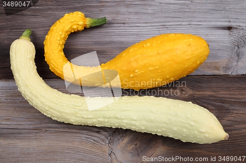Image of Squashes.