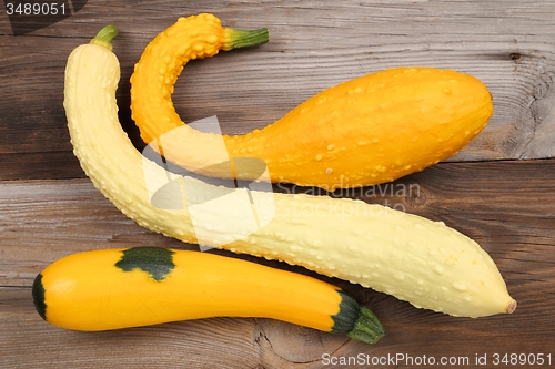 Image of Squash  and zucchini