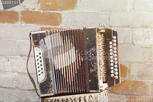 Image of accordion on the stump
