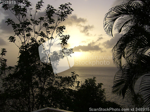 Image of Tropical Sunset