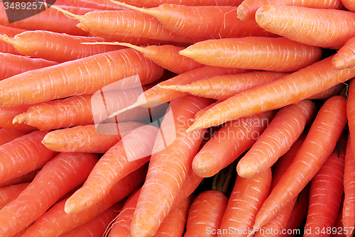 Image of Fresh Carrot