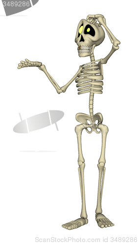 Image of Skeleton